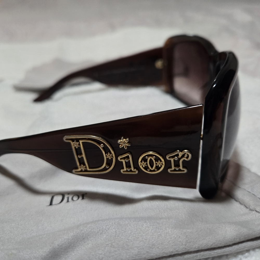Dior Elegant Black and Brown Sunglasses